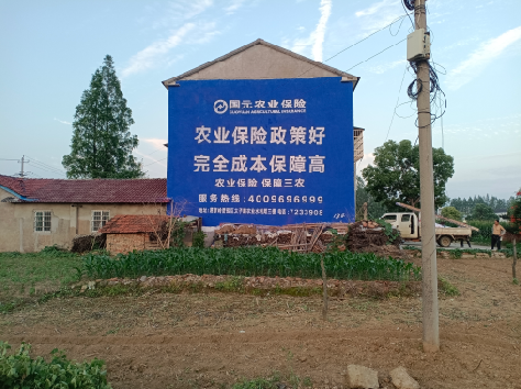 永仁墙体广告的优劣势你知道吗?